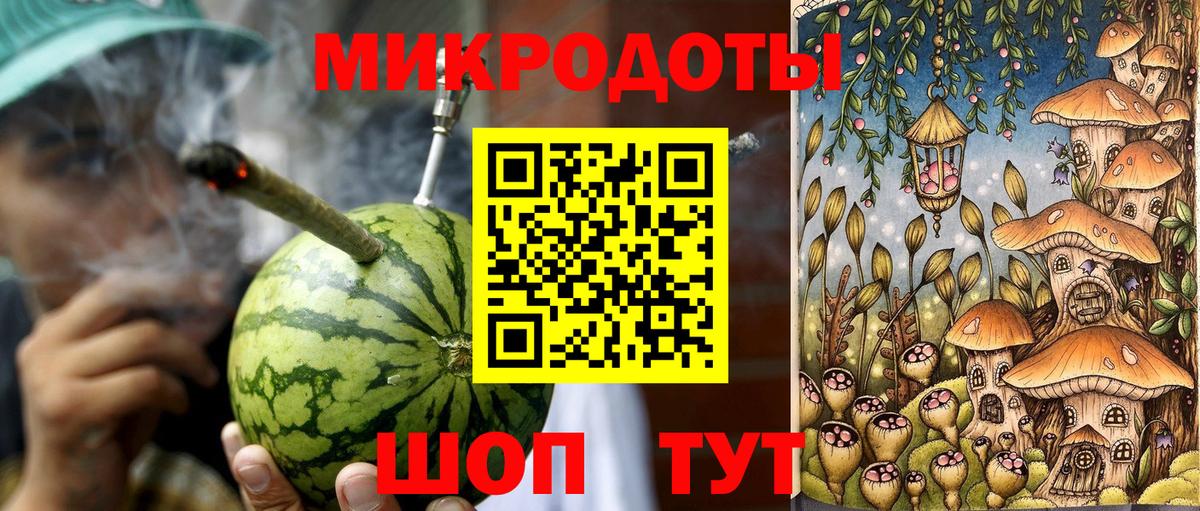 Псилоцибиновые грибы Psilocybe Междуреченск