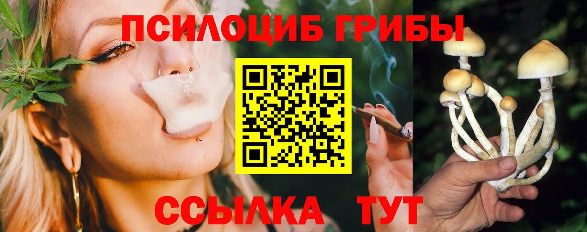 Междуреченск  Галлюциногенные грибы GOLDEN TEACHER  Вход с VPN 